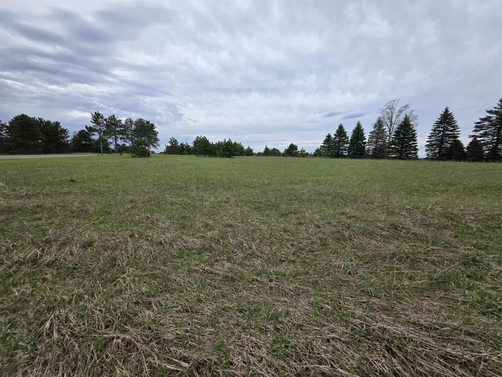 31 SE Blue Heron Drive Orange Township, MI 49646