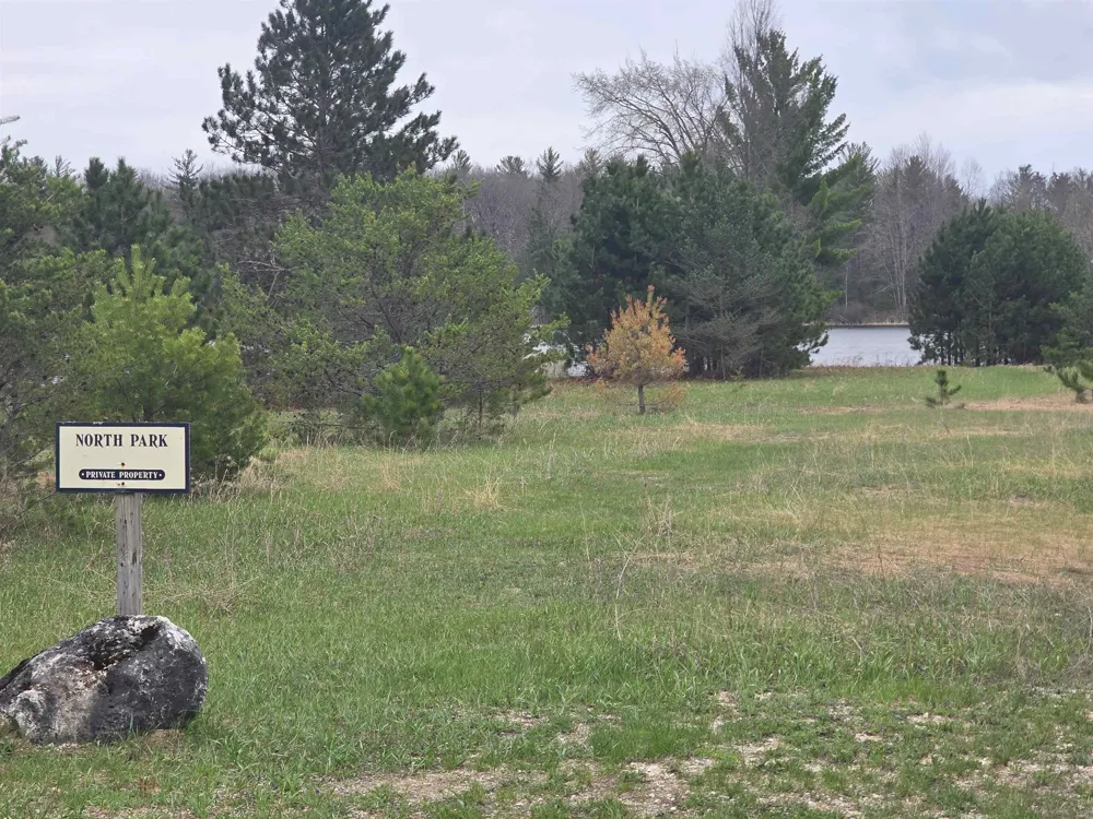 31 SE Blue Heron Drive Orange Township, MI 49646