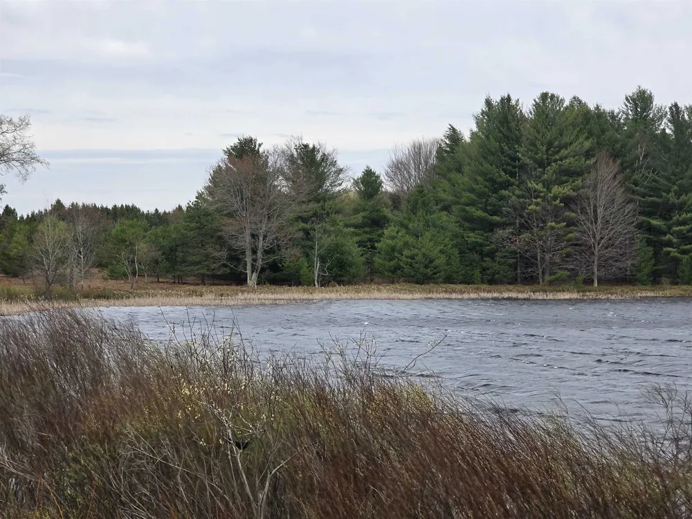 31 SE Blue Heron Drive Orange Township, MI 49646