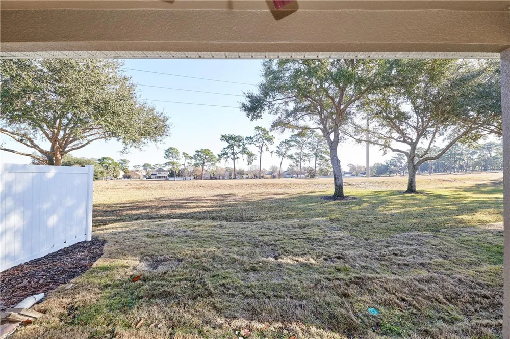 23903 SARDINIA DRIVE Sorrento, FL 32776