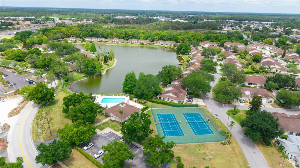 21506 GRAY TERN COURT Lutz, FL 33549