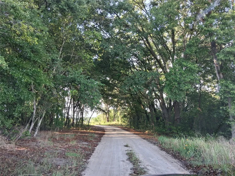 16451 FORREST LANE Groveland, FL 34736