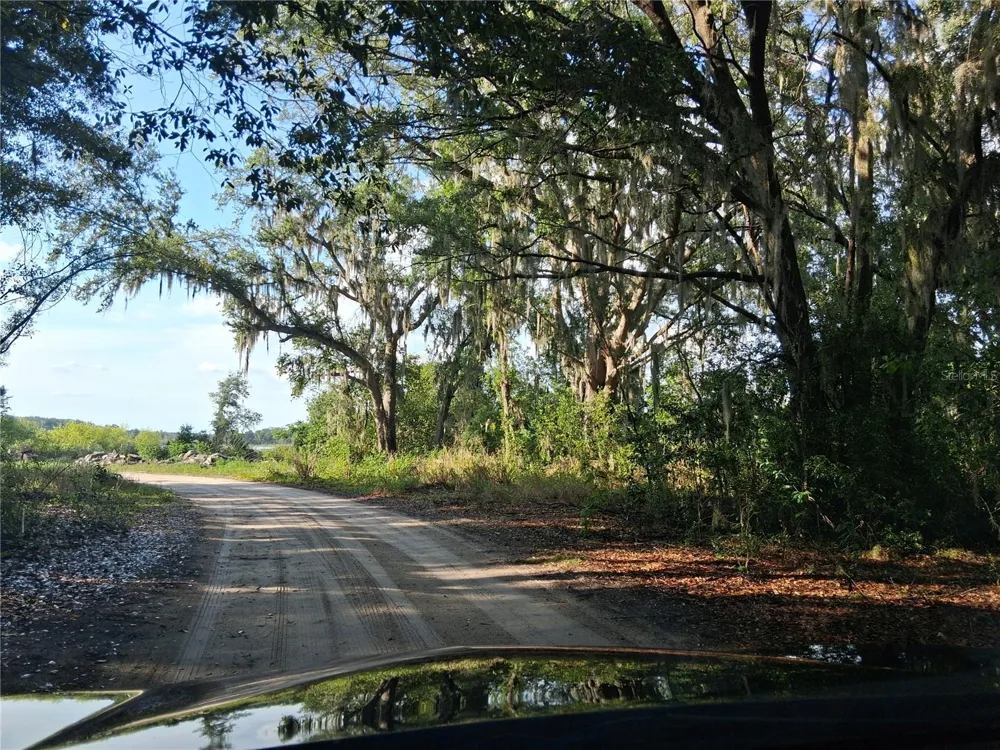 16451 FORREST LANE Groveland, FL 34736
