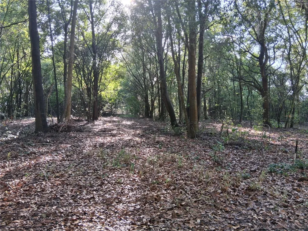 16451 FORREST LANE Groveland, FL 34736
