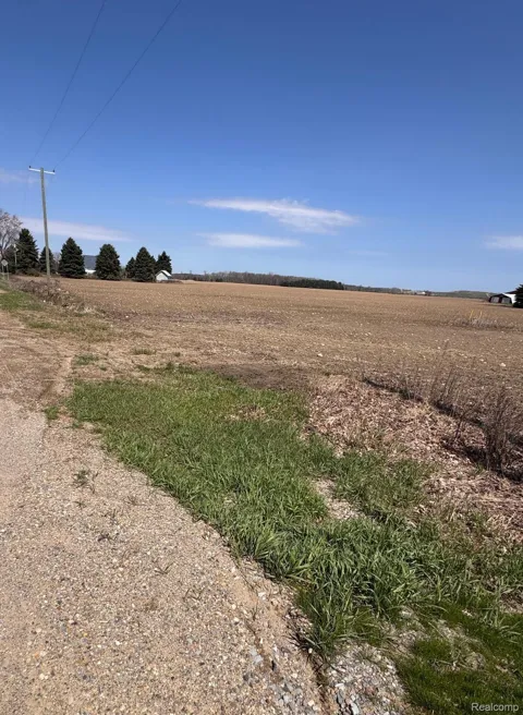 Fitch and Sanilac Road NE