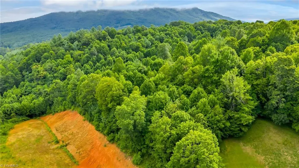 TBD US Highway 221 Jefferson, NC 28640