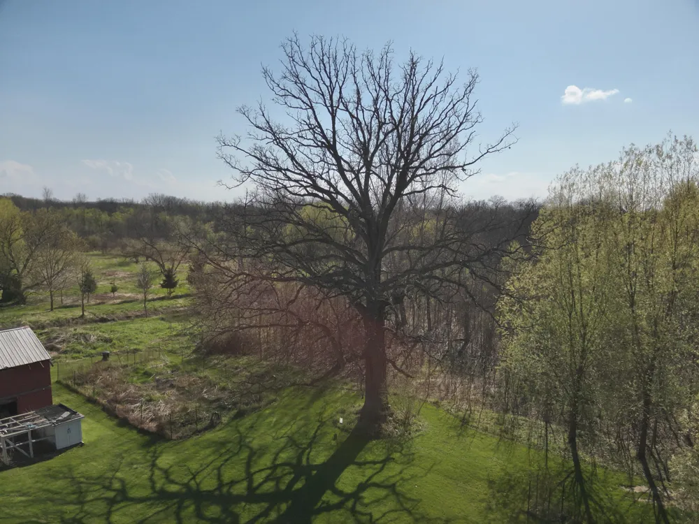 5785 Layton Road Howell City, MI 48836