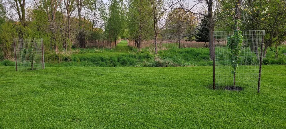 5785 Layton Road Howell City, MI 48836