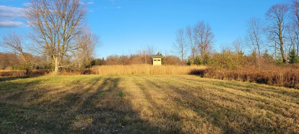 5785 Layton Road Howell City, MI 48836