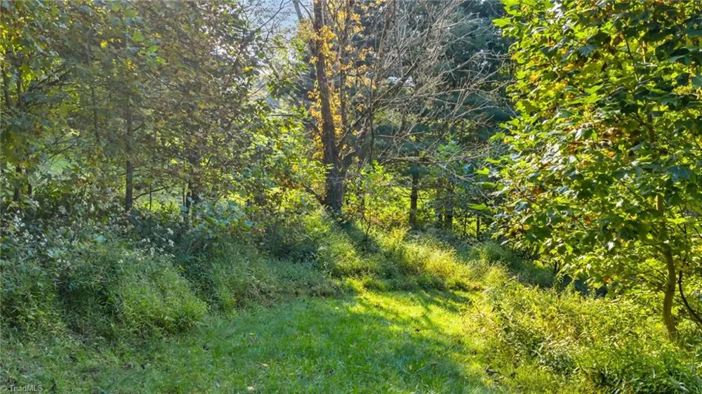 TBD Mulatto Mountain Road West Jefferson, NC 28694