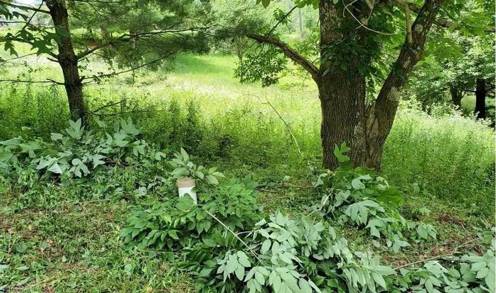 TBD Mulatto Mountain Road West Jefferson, NC 28694