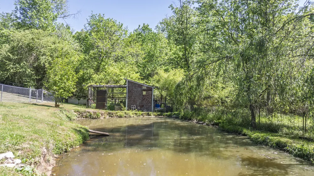 217 Roberts Road Spring City, TN 37381