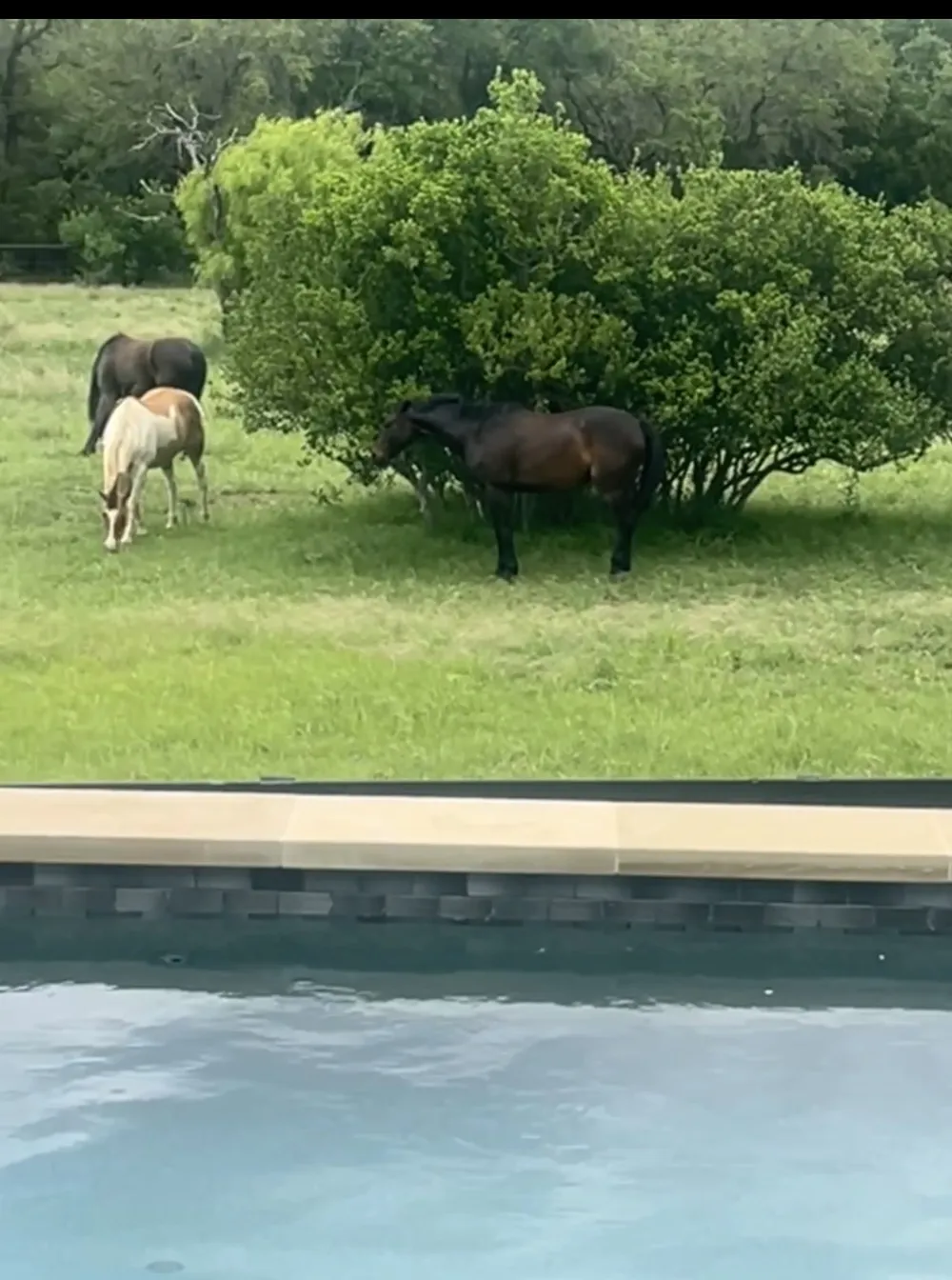 814 The Trails Parkway Horseshoe Bay, TX 78657