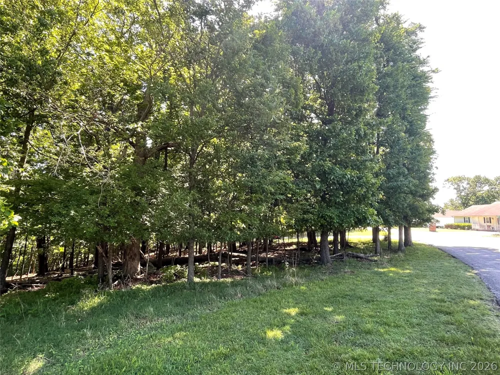 Ross Drive Afton, OK 74331