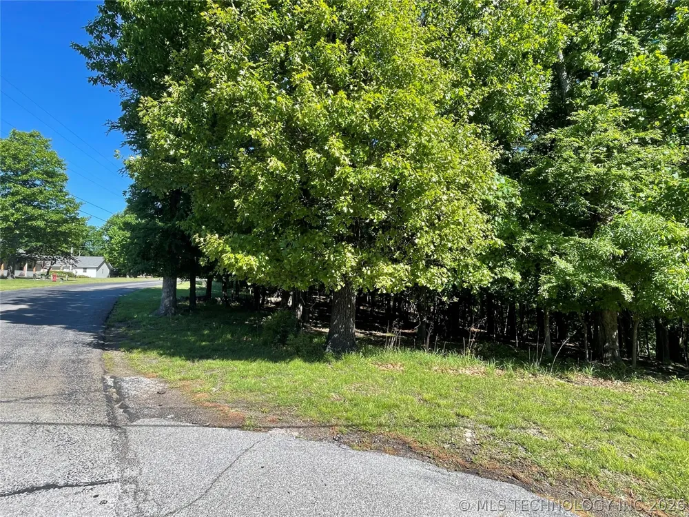 Ross Drive Afton, OK 74331