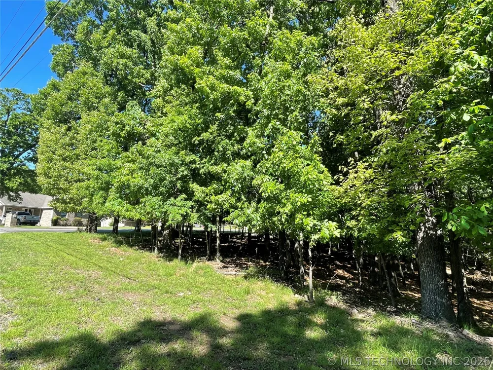 Ross Drive Afton, OK 74331