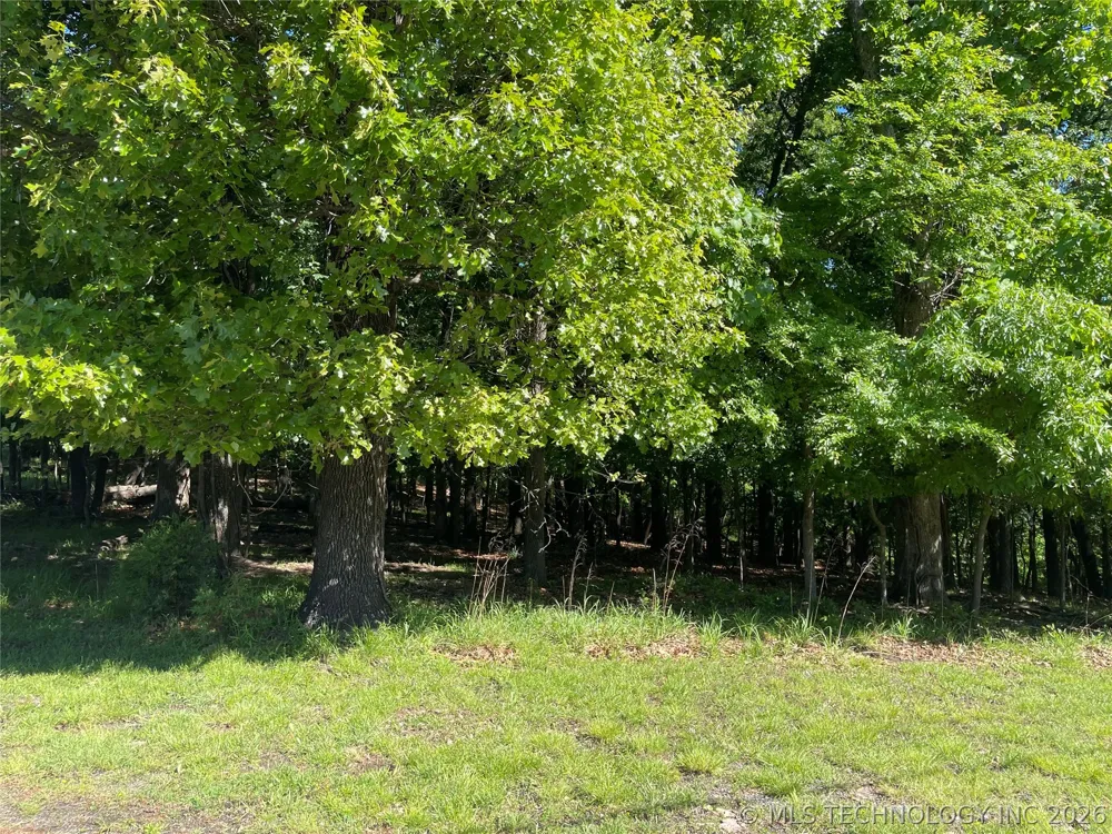 Ross Drive Afton, OK 74331