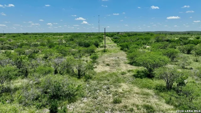 114 ACRES County Road 199 Karnes City, TX 78118