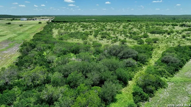 114 ACRES County Road 199 Karnes City, TX 78118