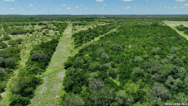 114 ACRES County Road 199 Karnes City, TX 78118