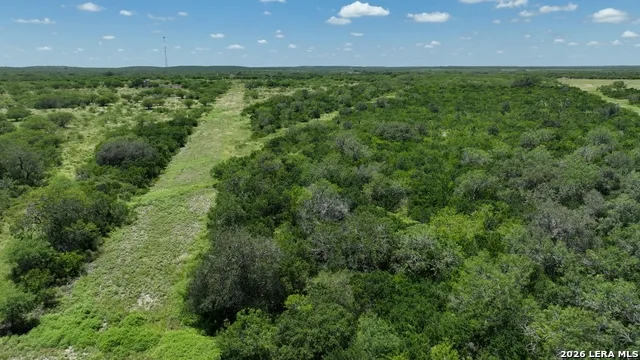 114 ACRES County Road 199 Karnes City, TX 78118