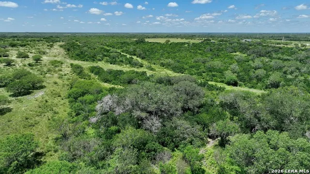 114 ACRES County Road 199 Karnes City, TX 78118
