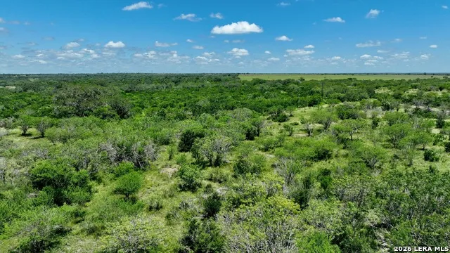 114 ACRES County Road 199 Karnes City, TX 78118
