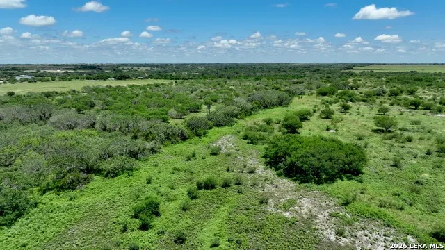 114 ACRES County Road 199 Karnes City, TX 78118
