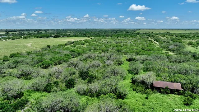 114 ACRES County Road 199 Karnes City, TX 78118