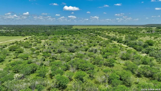 114 ACRES County Road 199 Karnes City, TX 78118