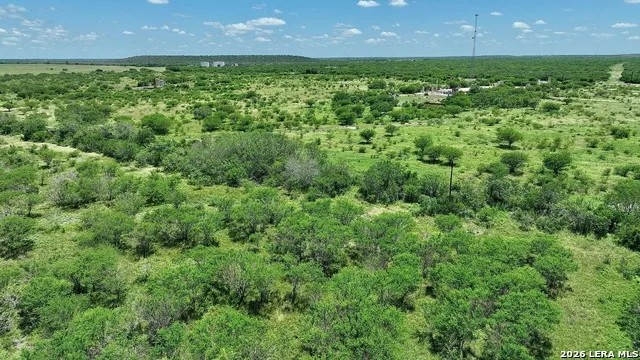 114 ACRES County Road 199 Karnes City, TX 78118