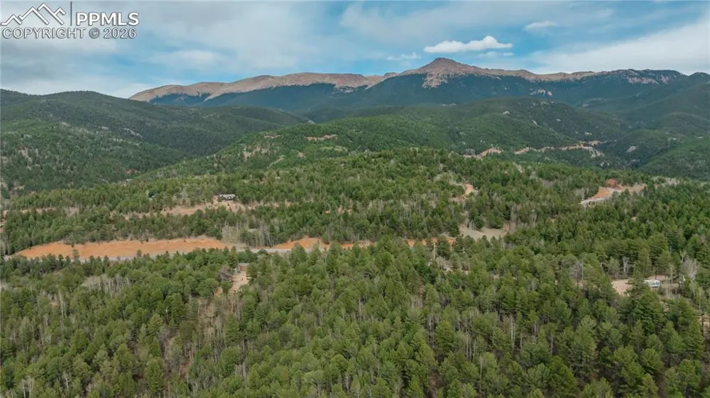 881 Timber Ridge Road Divide, CO 80814
