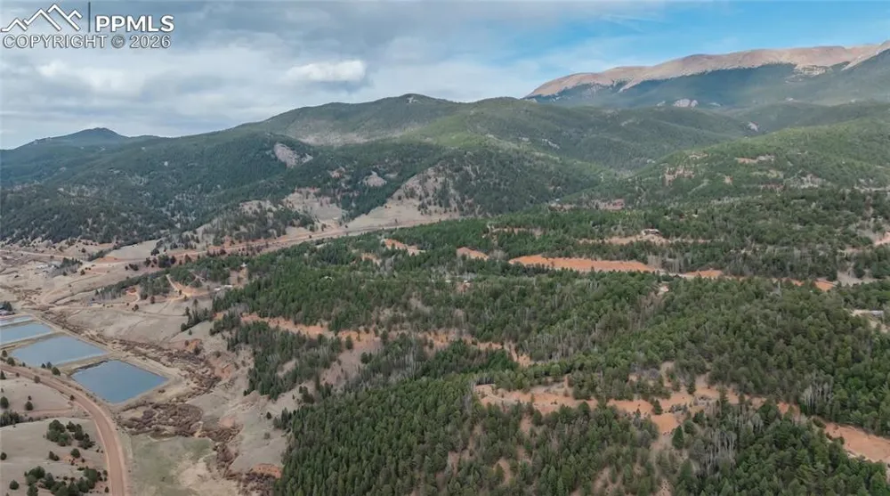881 Timber Ridge Road Divide, CO 80814