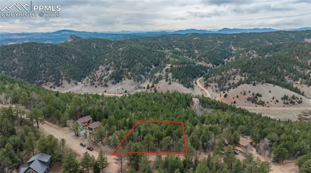 881 Timber Ridge Road Divide, CO 80814