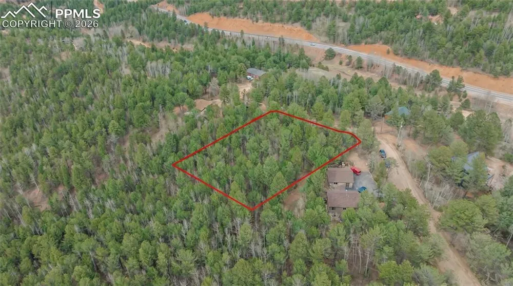 881 Timber Ridge Road Divide, CO 80814