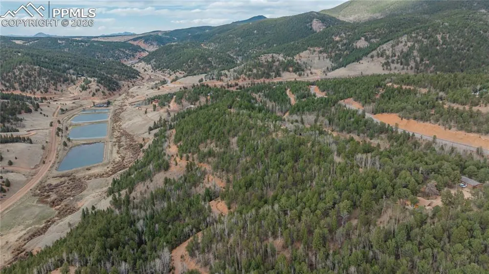 881 Timber Ridge Road Divide, CO 80814