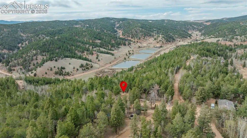 847 Timber Ridge Road Divide, CO 80814