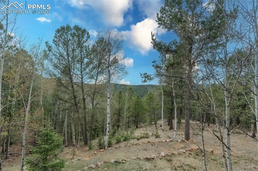 847 Timber Ridge Road Divide, CO 80814