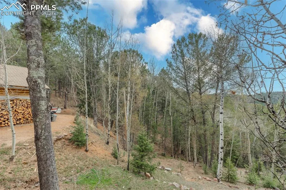847 Timber Ridge Road Divide, CO 80814