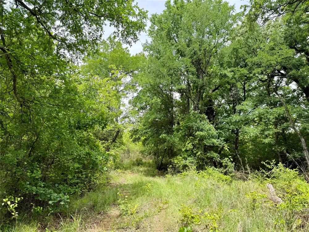 214 E Truce Road Bowie, TX 76431