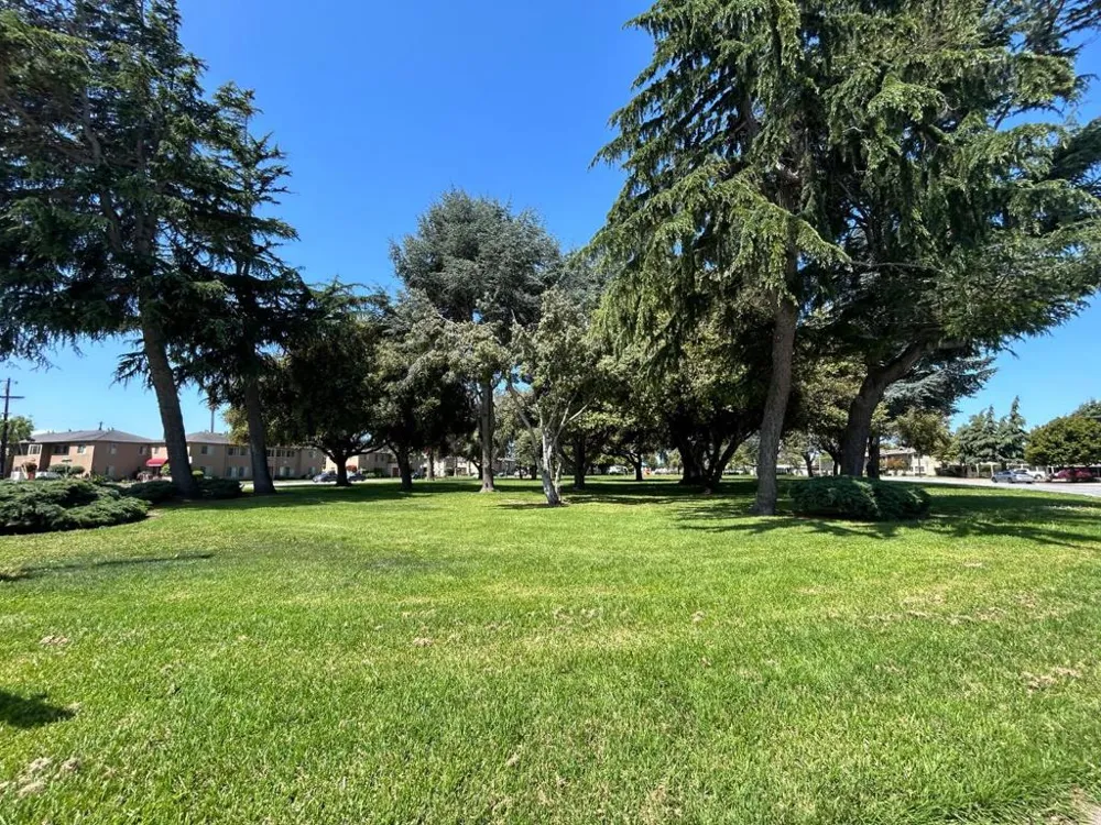 906 Bautista Drive Salinas, CA 93901
