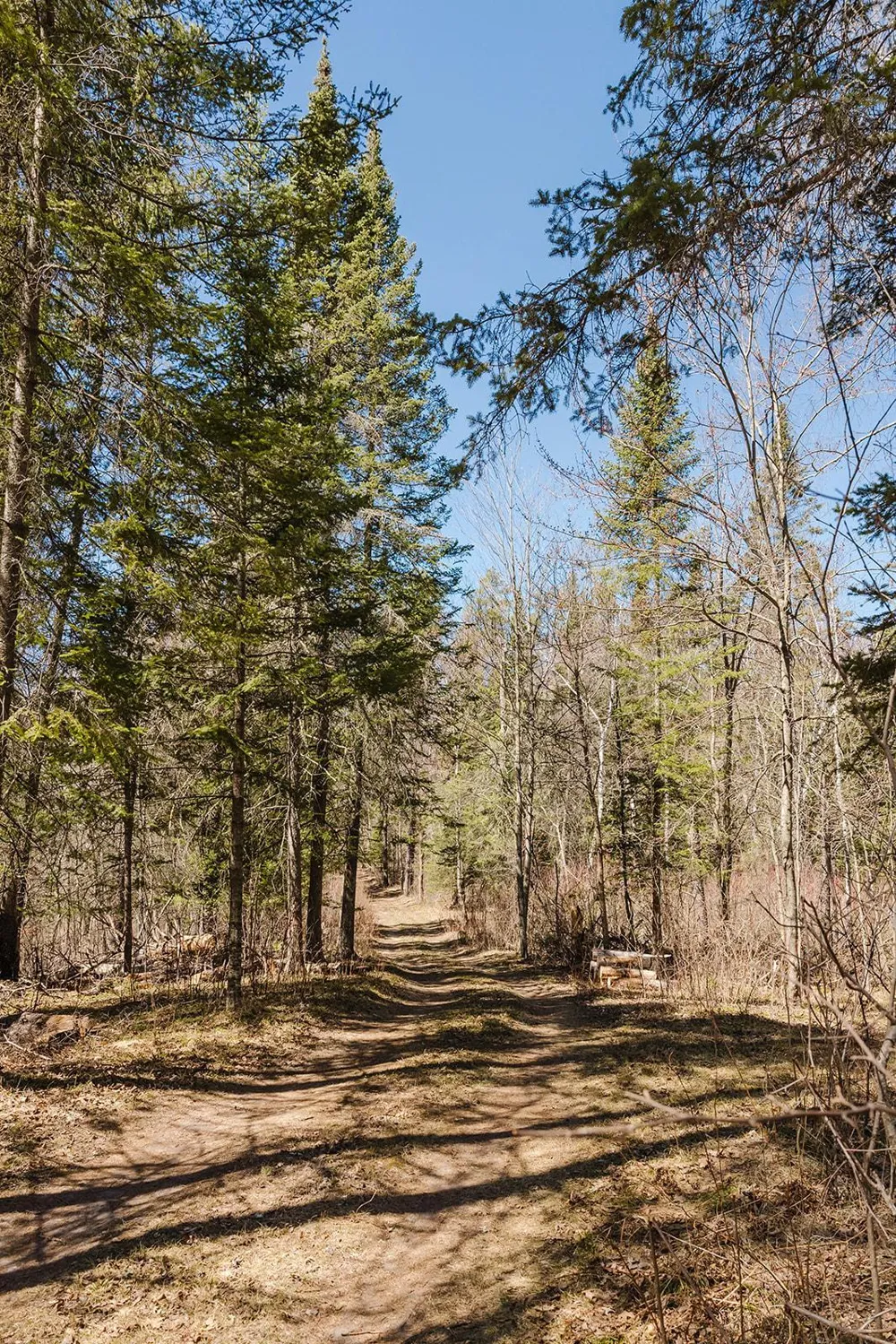 20008 County 84 Akeley, MN 56433