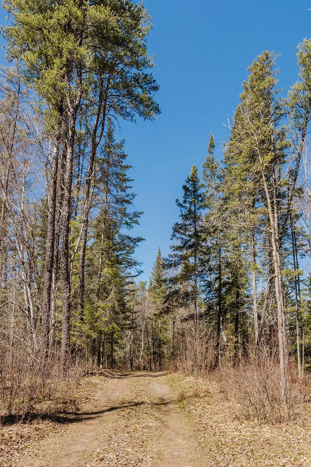 20008 County 84 Akeley, MN 56433