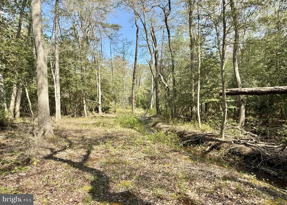 4196 ROUTE 47 Leesburg, NJ 08327