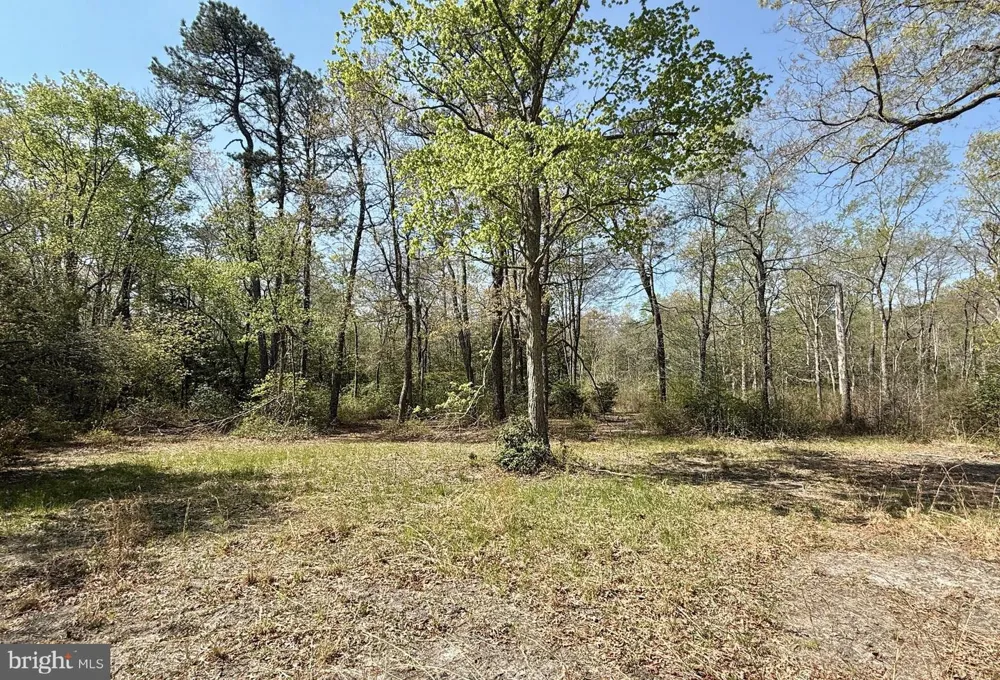 4196 ROUTE 47 Leesburg, NJ 08327