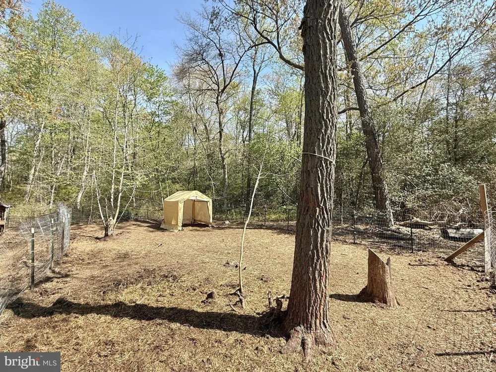 4196 ROUTE 47 Leesburg, NJ 08327