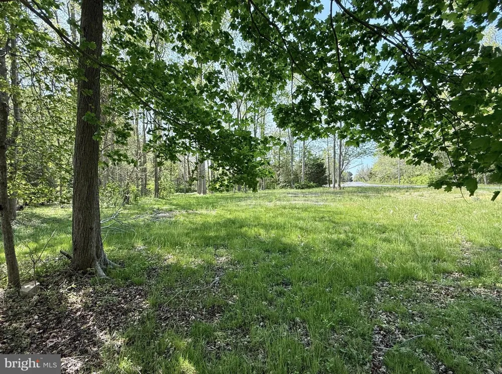 4196 ROUTE 47 Leesburg, NJ 08327
