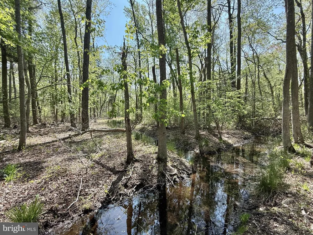 4196 ROUTE 47 Leesburg, NJ 08327