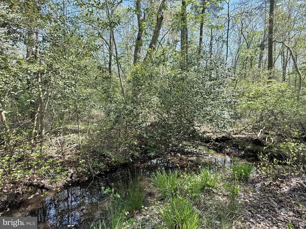 4196 ROUTE 47 Leesburg, NJ 08327