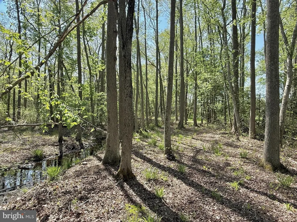 4196 ROUTE 47 Leesburg, NJ 08327